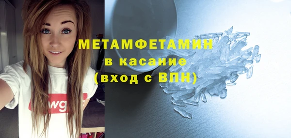 прущие грибы Осинники