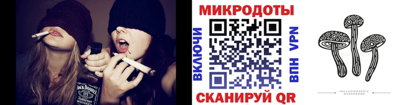 Псилоцибиновые грибы Psilocybine cubensis  Купить  Азов 